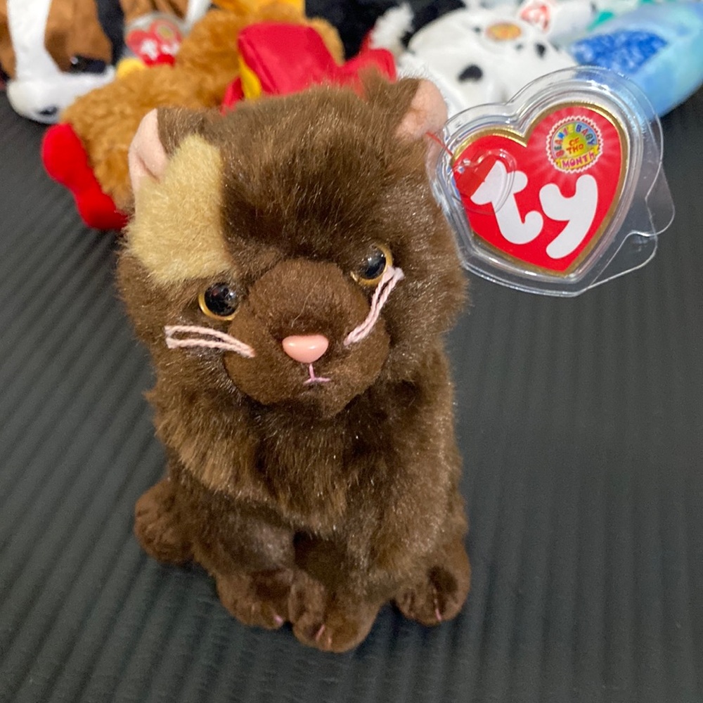Ty Beanie Babies Baby of the Month Fiddler the Cat Kitten Rare Vintage Collect